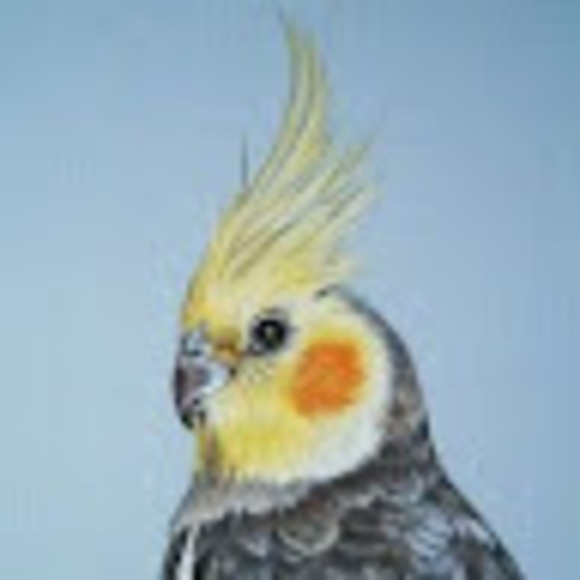 Meet your Posher, Funwith - Picture 1 of 1